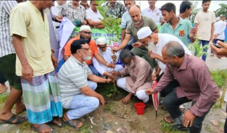 খোরশেদের নেতৃত্বে সাবেক যুবদল নেতাকর্মীদের বৃক্ষরোপণ কর্মসূচি