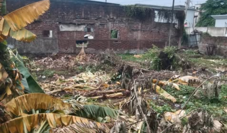 পাগলা রাধা গোবিন্দ মন্দিরের জমি দখলের চেষ্টার অভিযোগ, গাছ কাটার দাবি
