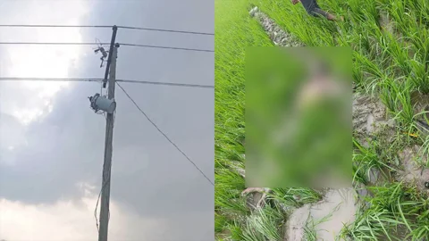 ট্রান্সফরমার চুরি করতে গিয়ে বিদ্যুৎস্পৃষ্টে মৃত্যু, মাঠে পড়ে ছিল মরদেহ